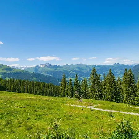 Casa vacanze Gasteinerhuette Im Zirbenwald Bad Gastein Salzburg